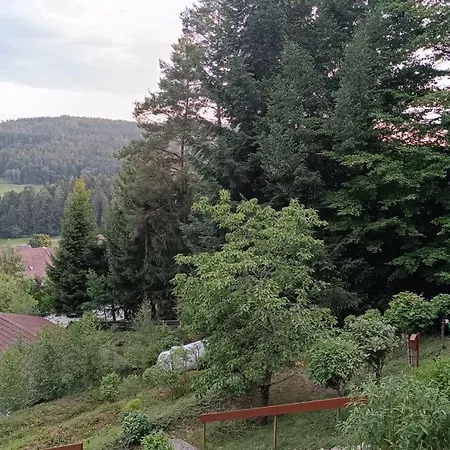 Modernes Augustin Balkon, Kostenlosem Parkplatz Und Blick Ins Gruene شقة ريمباخ