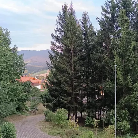 Modernes Augustin Balkon, Kostenlosem Parkplatz Und Blick Ins Gruene ريمباخ